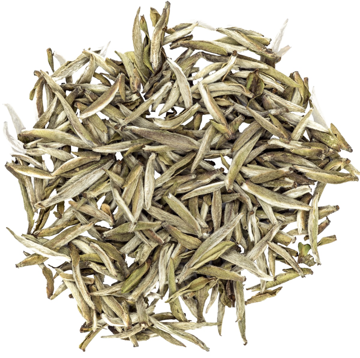 Ashtanga primary &middot; gyokuro